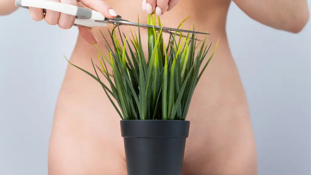 brazilian wax cutting garden